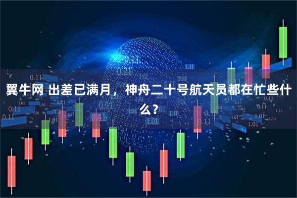 翼牛网 出差已满月，神舟二十号航天员都在忙些什么？